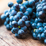 Grape - Thomcord Seedless - GMO Free