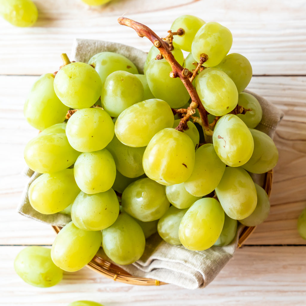 Grape - Thompson Seedless - GMO Free – Plantcetera