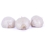 Allium - Sphaerocephalon