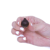 Crocus & Scilla - Blue Artisan Bulb Blend