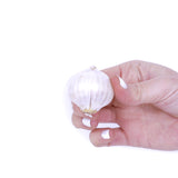 Allium - Sphaerocephalon