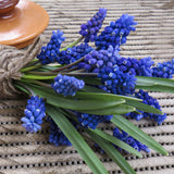 Dwarf Iris, Hyacinth, Muscari, Tulip & Anemone - Blue Spring Flowering Garden - Bulb Collection