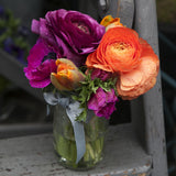 Ranunculus - Buttercups - Double Purple