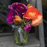 Ranunculus - Buttercups - Double Tangerine