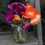 Ranunculus - Buttercups - Collector's Collection