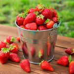 Strawberry - Eversweet - Cosmopolitan Hanging Basket - GMO Free