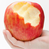 Apple Tree - Honeycrisp