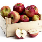 Apple Tree - McIntosh