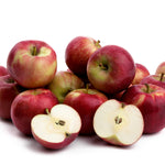 Apple Tree - McIntosh