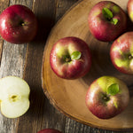 Apple Tree - McIntosh
