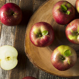 Apple Tree - McIntosh
