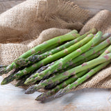 Asparagus - Mary Washington - GMO Free