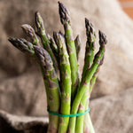 Asparagus - Mary Washington - GMO Free