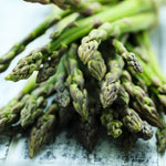 Asparagus - Mary Washington - GMO Free
