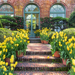Tulip - Illuminating - 2021 Color Of The Year