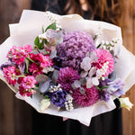 Allium - Rosy Dream