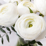 Ranunculus - Buttercups - Snowstorm