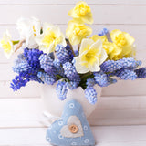 Muscari - Grape Hyacinth - Cottage Blend